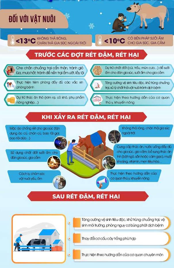 Khuyến cáo các biện pháp phòng, chống rét đậm rét hại- Ảnh 2.